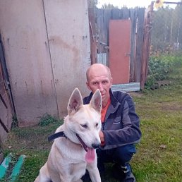 , 47, 