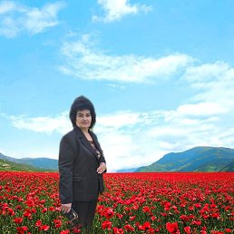 ���� �������, ������, 55 ��� - ��������� 4 ������ 2026