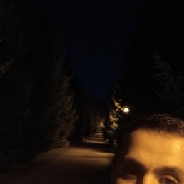 , 29, 