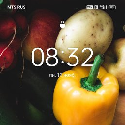 ���� ���, ������ ��������, 22 ���� - ��������� 15 ������ 2023