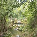 ���� ����� ������, ����� - ��������� 6 �������� 2024 � ������ ������ ��������