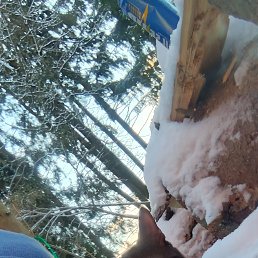 ���� ���������, ����������, 39 ��� - ��������� 27 ������ 2025