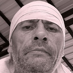 , 48, 