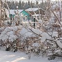 ���� �����, ������, 64 ���� - ��������� 10 ������ 2026 � ������ ������� ��������� ����