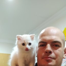 , 43, 
