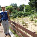 ���� ������, ������, 55 ��� - ��������� 12 ������ 2025 � ������ ���� ����������