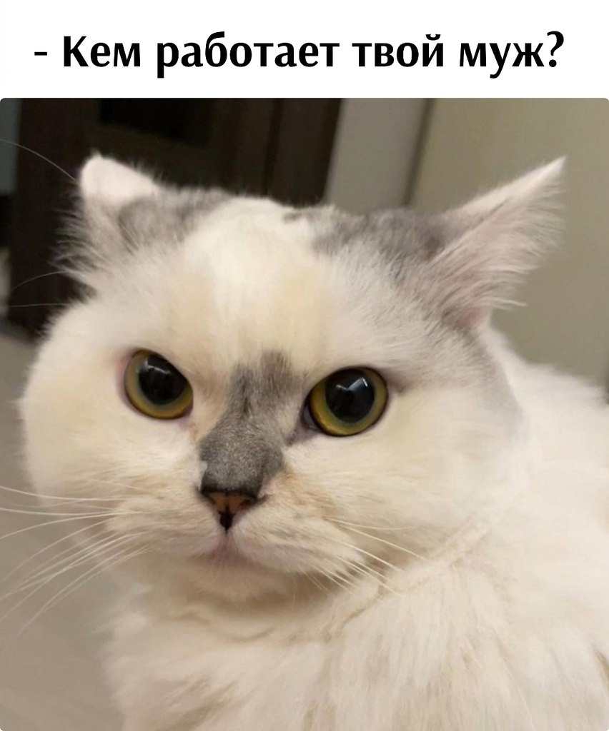       - 18  2025  12:30