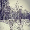 ���� Benvolio, ��������, 42 ���� - ��������� 28 ������� 2025 � ������ ������ ��������