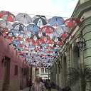 ���� Vadim, ������������ - ��������� 2 ������� 2025 � ������ ���� ����������