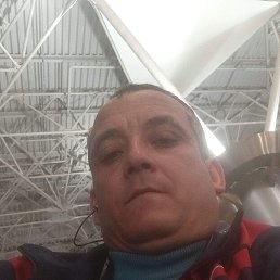 , 39, 