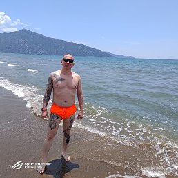 �������, 40 ���, �����