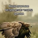 ���� Alexandr, ������� �������� - ��������� 22 ������� 2025 � ������ ������ ��������