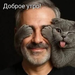 ����, ��������, 56 ���