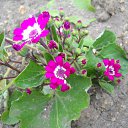 ���� �����, ���������, 38 ��� - ��������� 15 ��� 2024 � ������ ���� ����������