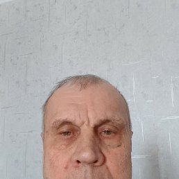 , 65, 