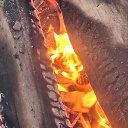 ���� �������, �����������, 47 ��� - ��������� 27 ���� 2026 � ������ ���� ����������