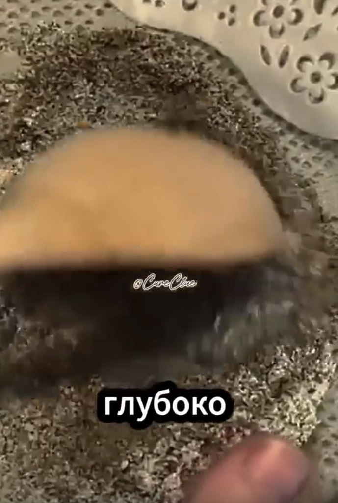  ,         - 2