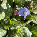 ���� �����, �����-��������� - ��������� 2 ������ 2025 � ������ ������25�