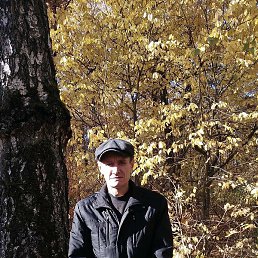 ������, ��������, 49 ���