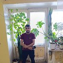 ���� �����, ������������, 36 ��� - ��������� 1 ������� 2026 � ������ ���� ����������