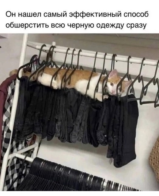  - 1  2025  23:36