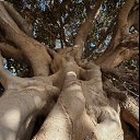 ���� Vika, ���� - ��������� 19 ������ 2026 � ������ ������ ��������, �������.�