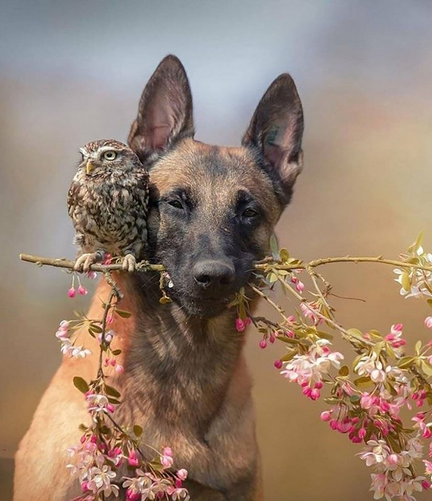 �������� �������� ���� ������ �������� �������� ����� ������ �������, ��� ����������� ������� ���� ... - 5