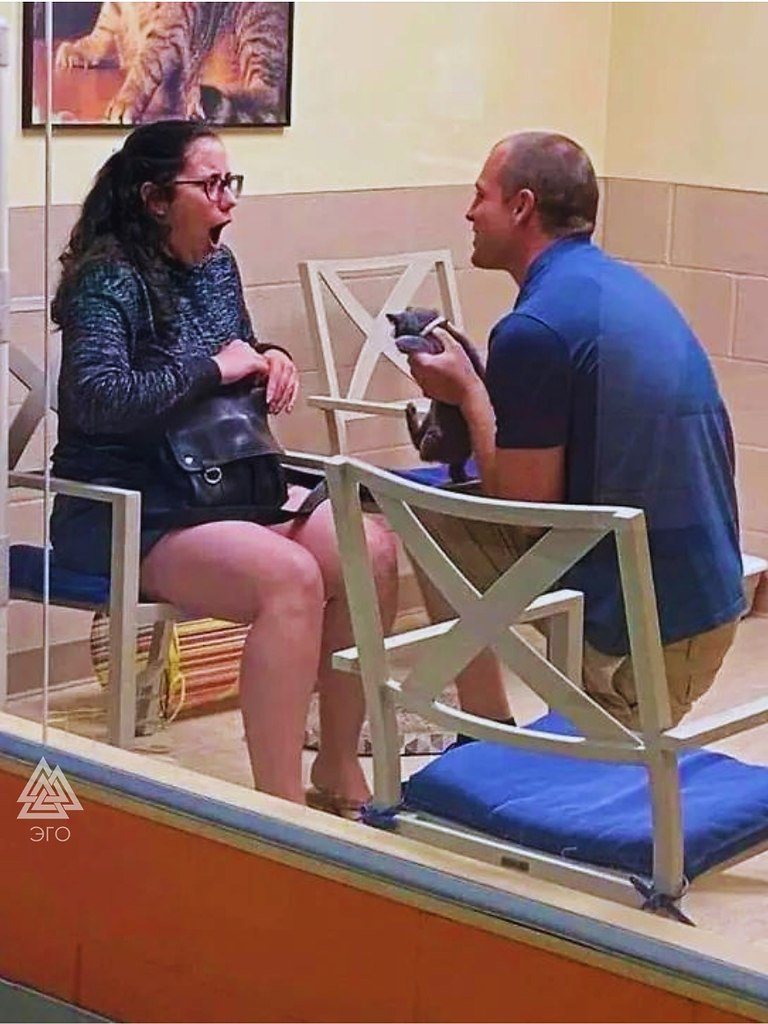    , ,      ,     ...