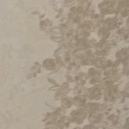 ����, 54 ����, ����