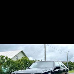 �����, ����, 37 ���