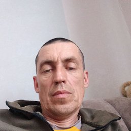 ������, 46 ���, �������