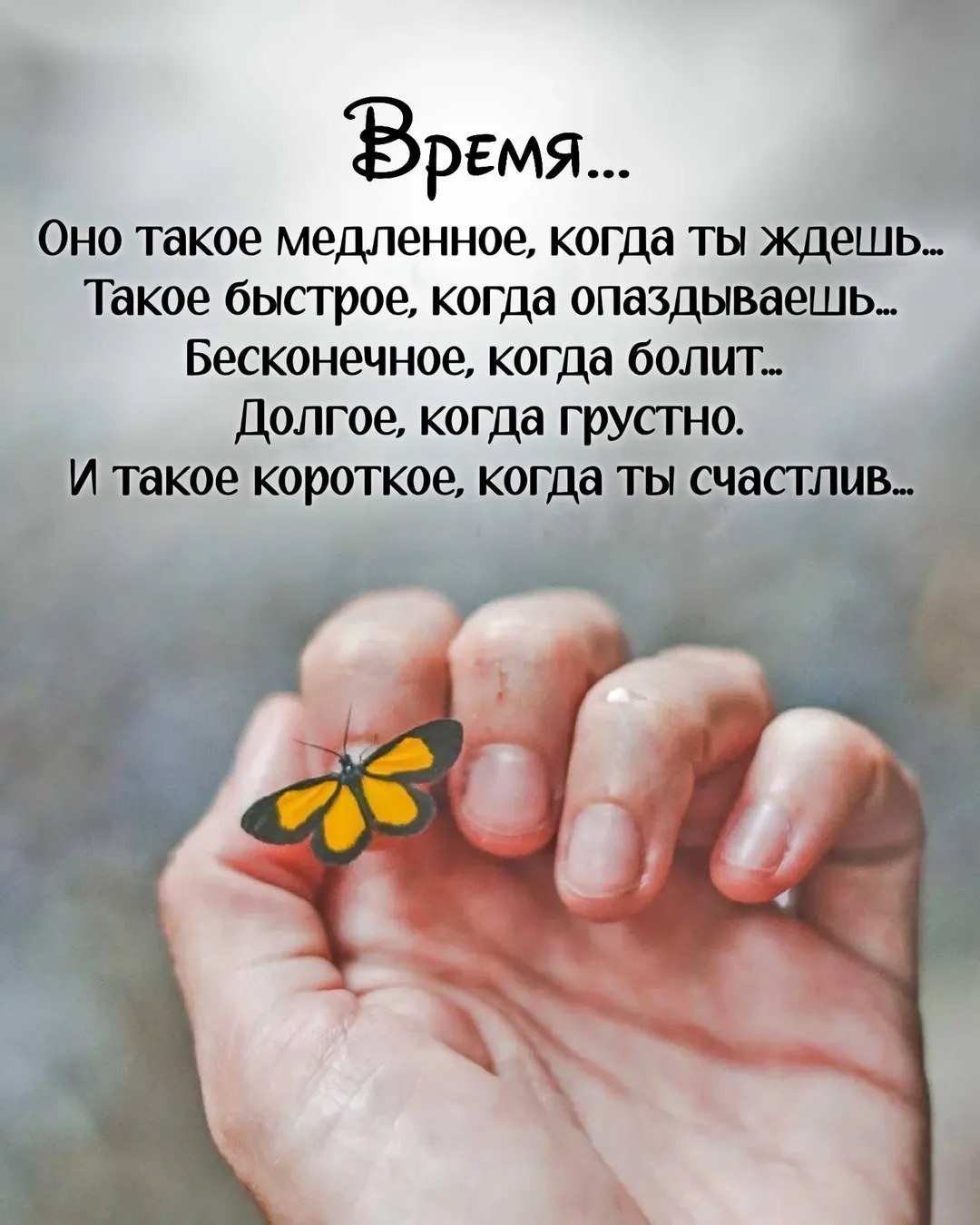  - 21  2025  13:13