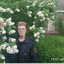 ���� �������, ������������, 63 ���� - ��������� 7 ������ 2026 � ������ ���� ����������