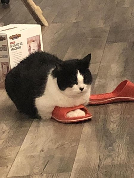 :   .: - 9