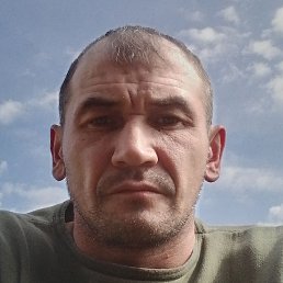 �����, ������, 37 ���