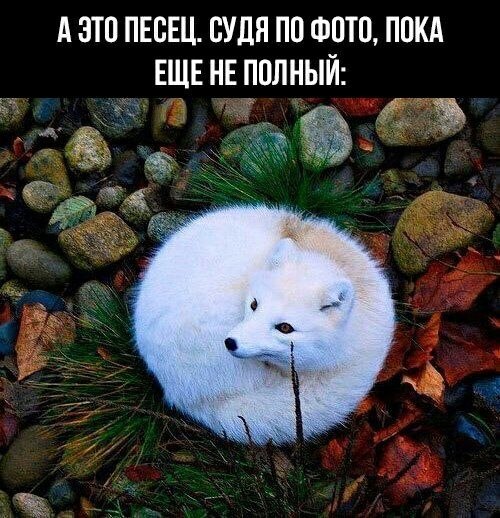    - 8  2023  11:11