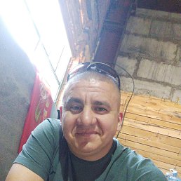  , 41, 