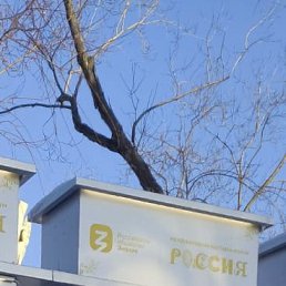 ���� �����, ������, 33 ���� - ��������� 2 ������� 2025