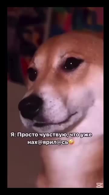 o��oc���. ����� ������� - 2