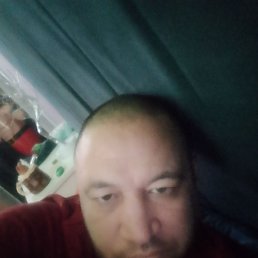 �����, �������, 42 ����