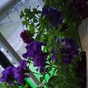 ���� �������, ������ - ��������� 1 ������ 2024 � ������ ���� ����������
