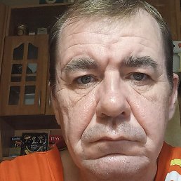 ����, �����-���������, 46 ���