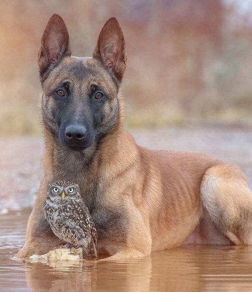 �������� �������� ���� ������ �������� �������� ����� ������ �������, ��� ����������� ������� ���� ... - 4