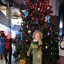 ���� ����, ������, 58 ��� - ��������� 17 ������� 2025 � ������ ���� ����������