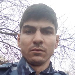 , 34, 