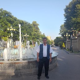 , 48, 