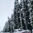 ���� Vato, �������, 41 ��� - ��������� 10 ����� 2024