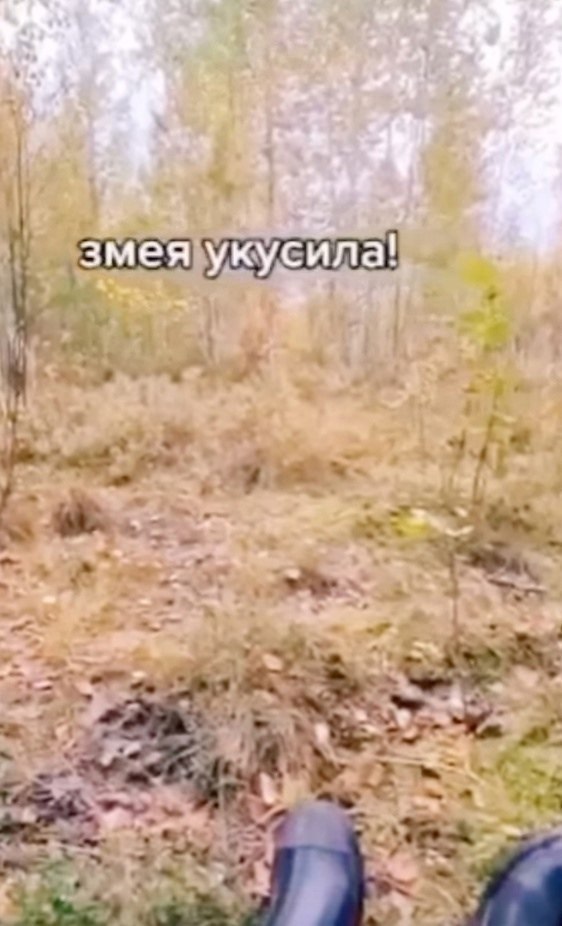            - 2