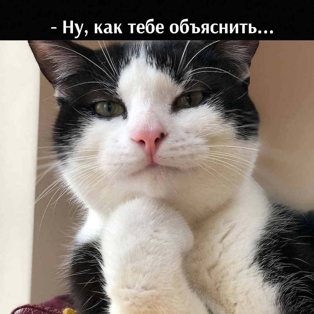       - 6  2025  15:46 - 2
