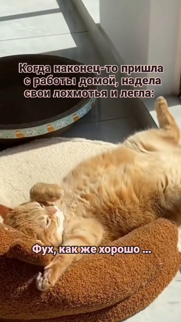   ...!